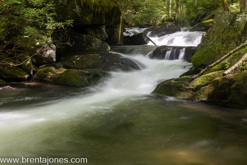A Visual Journey through Middle Prong Trail: The Magic of Waterfalls