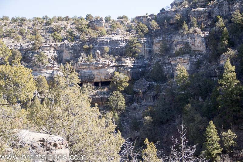 Walnut Canyon: A Journey Through Time and Natural Beauty