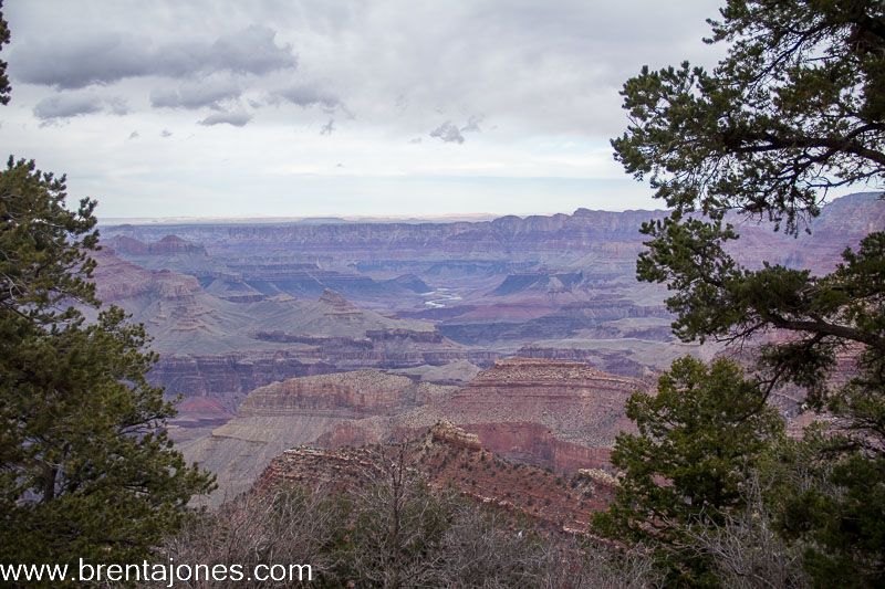 My Visit to the Grand Canyon's Grand View Point Location