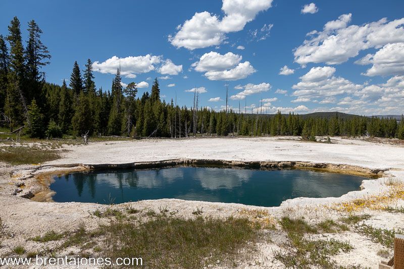 Immersed in Nature: A Picturesque Journey through Yellowstone National Park