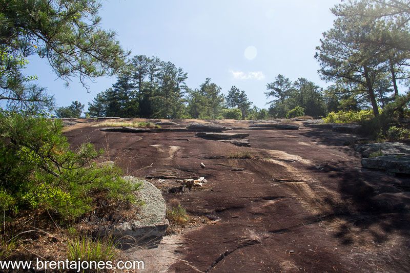 Rocky trail climbs past scattered pines
