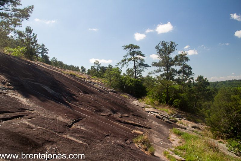 Sloping granite dotted with small trees