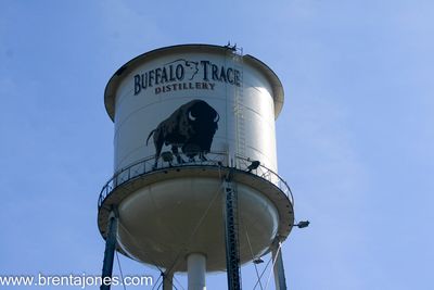 Buffalo Trace