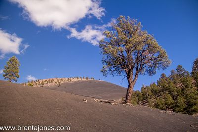 Exploring the Majestic Beauty of the Bonito Lava Flow in Arizona