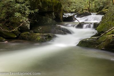 A Visual Journey through Middle Prong Trail: The Magic of Waterfalls