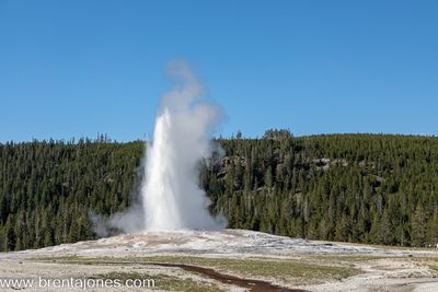 Immersed in Nature: A Picturesque Journey through Yellowstone National Park